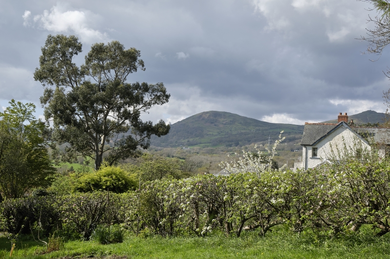 Gilfach